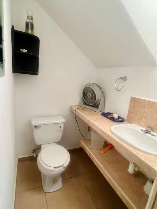 Casa Con Alberca A 8 Min De Playa Daire Ixtapa  Dış mekan fotoğraf