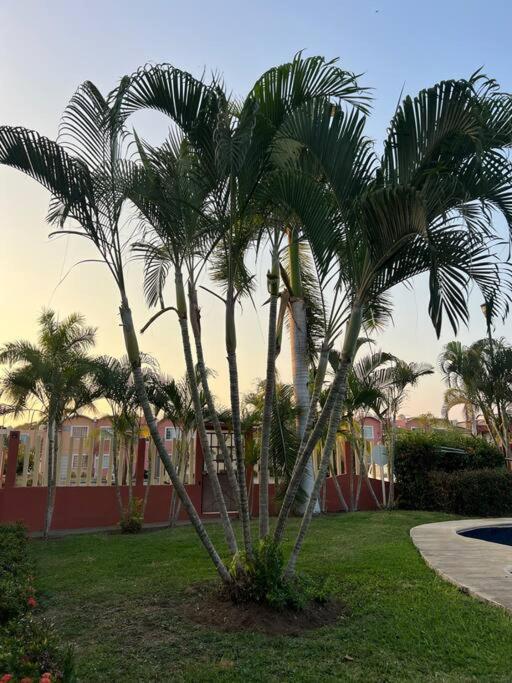 Casa Con Alberca A 8 Min De Playa Daire Ixtapa  Dış mekan fotoğraf
