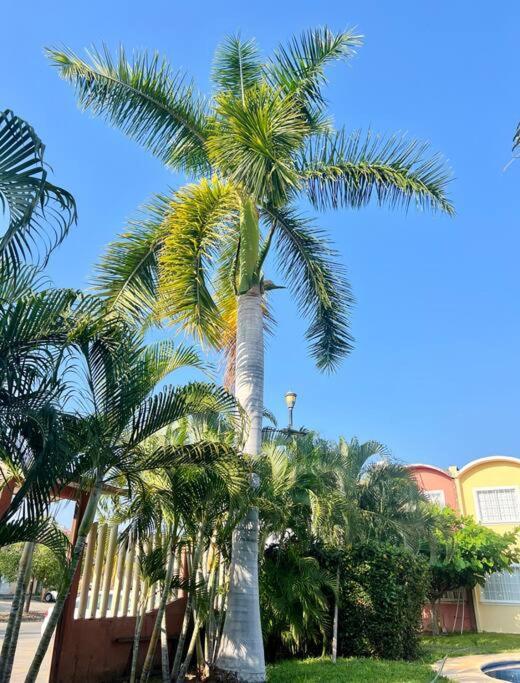 Casa Con Alberca A 8 Min De Playa Daire Ixtapa  Dış mekan fotoğraf